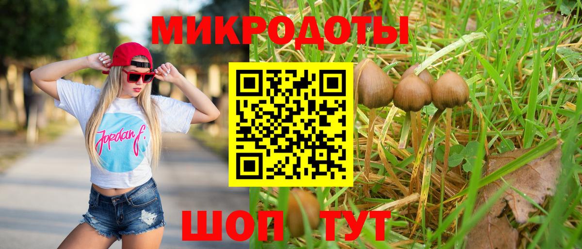 Ржев  Псилоцибиновые грибы Psilocybine cubensis  Вход с VPN 