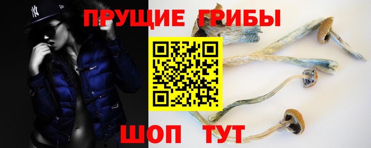 Псилоцибиновые грибы мицелий Ржев